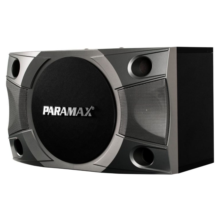 Loa karaoke Paramax P800 đỉnh cao chất lượng - 2