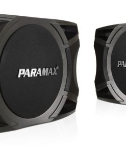 Loa karaoke PARAMAX P-1000