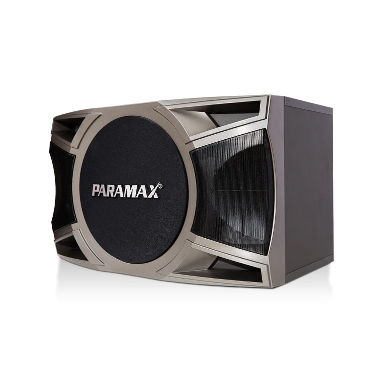 Loa karaoke Paramax D-2000 1