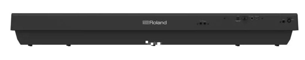 Roland FP-30X mặt sau