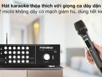 Amply Karaoke PARAMAX AX-1200 Tích Hợp Micro Không Dây 6