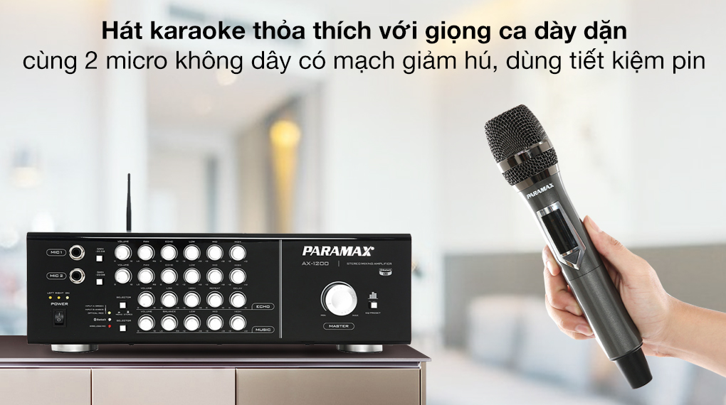 Amply Karaoke PARAMAX AX-1200 Tích Hợp Micro Không Dây 11