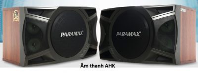 Cặp Loa Karaoke Paramax LX-1200