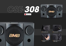 Loa karaoke BMB CSE 308SE cao cấp