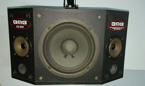 Loa karaoke BMB CS251V chính hãng