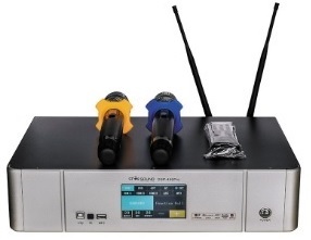 Đẩy liền vang liền micro Star Sound DSP-450 Pro