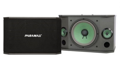 Loa karaoke Paramax K850