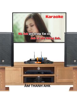 Dàn karaoke cao cấp Electro Voice giá 65 triệu