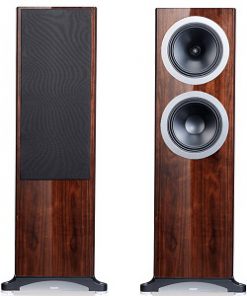 Loa Front Tannoy Definition DC10Ti