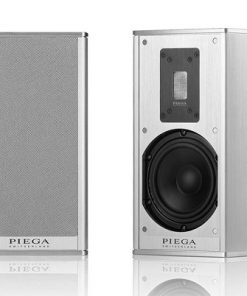 Loa hi-end Piega Premium Wireless 301