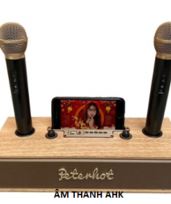 Loa Karaoke Bluetooth Peterhot A100 GIÁ RẺ
