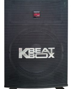 Loa ACNOS KB43S