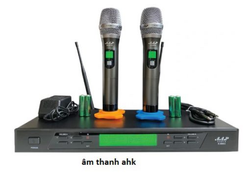 Micro karaoke AAP K-600 II